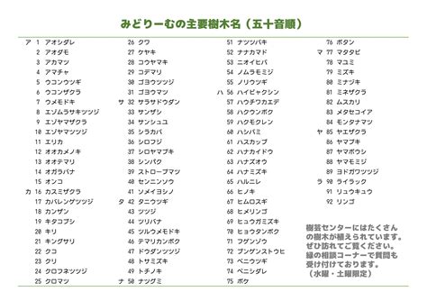 木名|木の一覧